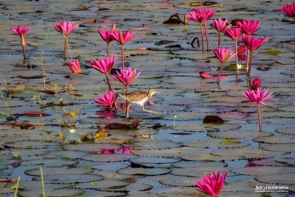 The Infinite Resort Nakhon Sawan Ngoại thất bức ảnh