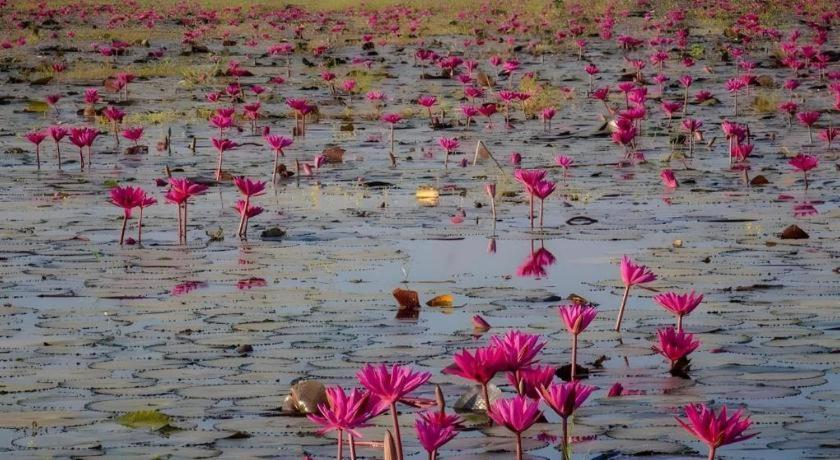The Infinite Resort Nakhon Sawan Ngoại thất bức ảnh